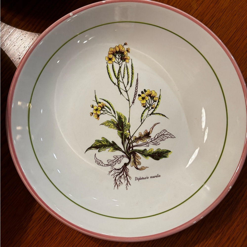 Williams Sonoma Botanical Dinnerware Set with Red Trim